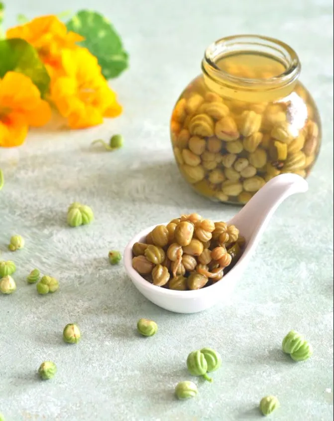 Pickled Nasturtium Seeds
