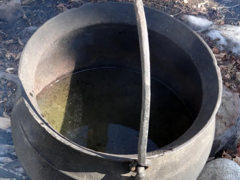 Maple Sugar