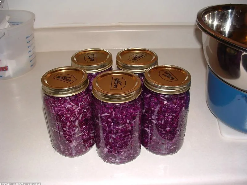 Red Cabbage Sauerkraut