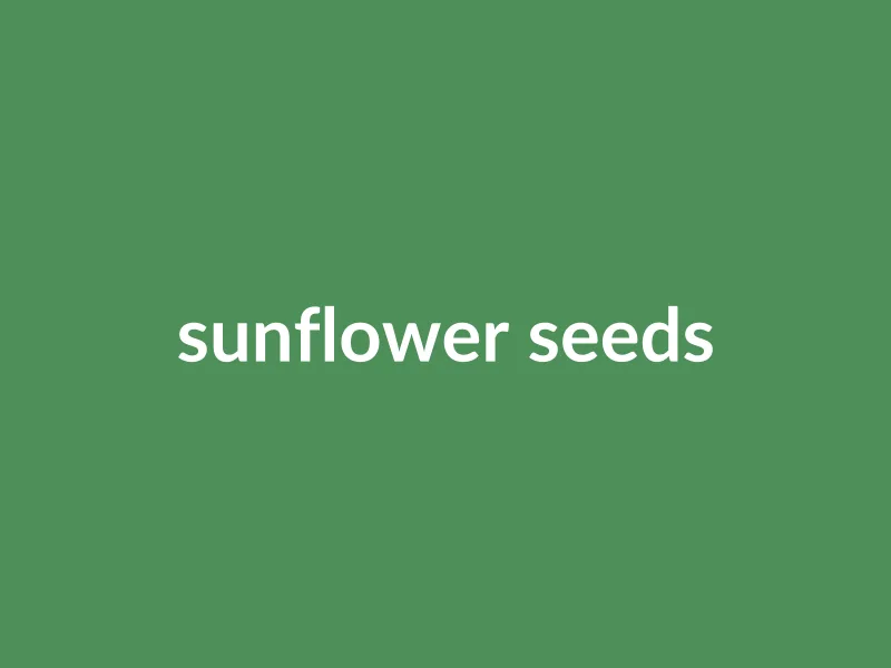 Shelled Sunflower Kernels