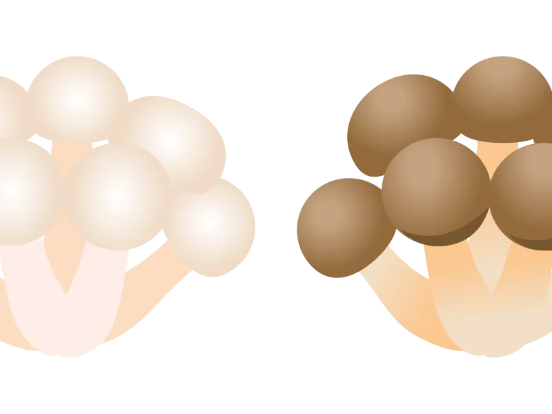 Shimeji Mushroom