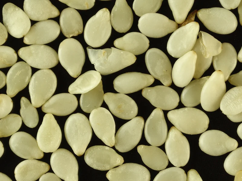 Toasted Sesame Seeds